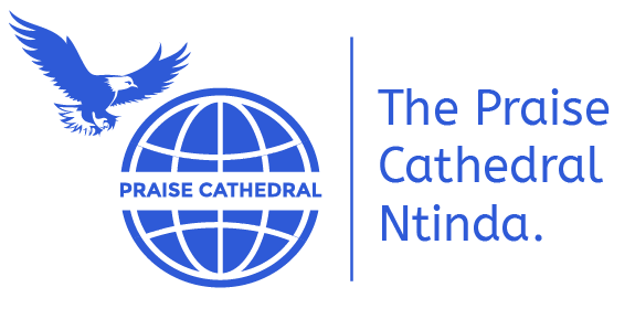 PRAISE CATHEDRAL LOGO_BLUE-03